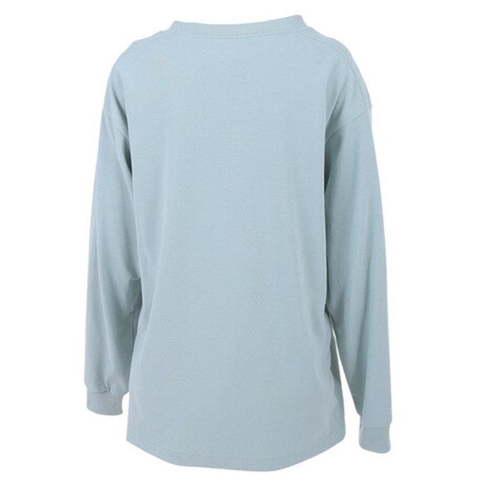 ヘリーハンセン(HELLY HANSEN)(レディース)長袖Tシャツ ロンT ロングスリーブ レターTシャツ HE32331 トップス 速乾 消臭 春