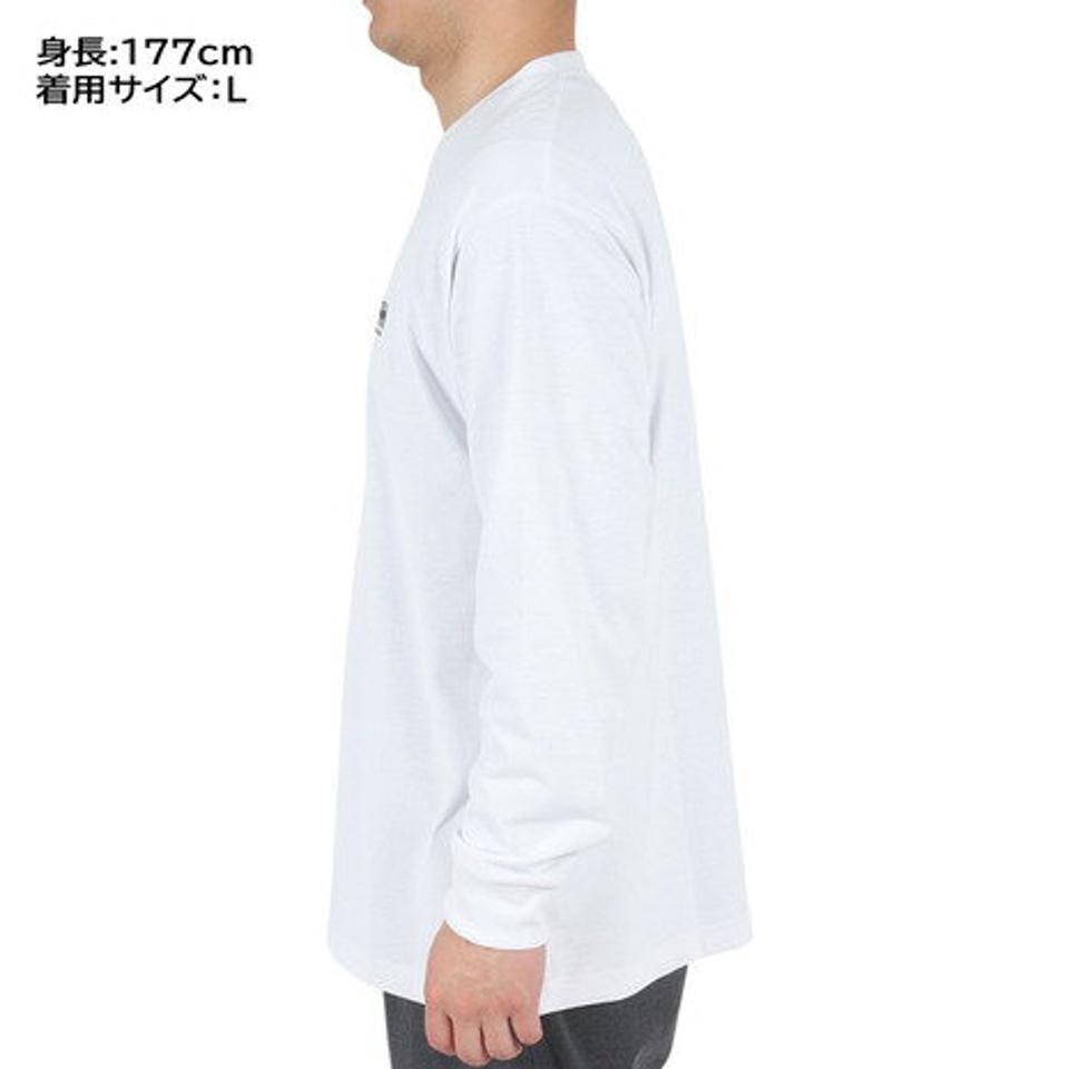 ヘリーハンセン(HELLY HANSEN)(メンズ、レディース)長袖Tシャツ ロンT ロングスリーブレターTシャツ HE32331 CW ホワイト トップス 速乾 消臭 春