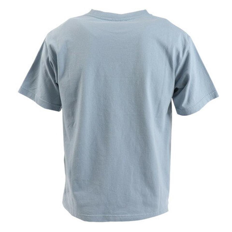 【7/5 24h限定 エントリー&対象3店舗買い回りで最大P10倍!】カンタベリー(canterbury)(メンズ)半袖Tシャツ メンズ RA33090 20 ブルーグレー ゴールドウィン Tシャツ