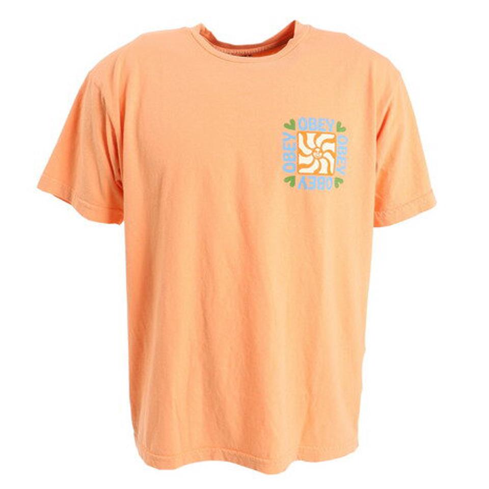 【20%OFFクーポン対象!8/10まで】オベイ(OBEY)(メンズ)半袖Tシャツ メンズ ELEMENTS 163003374PPSO23P