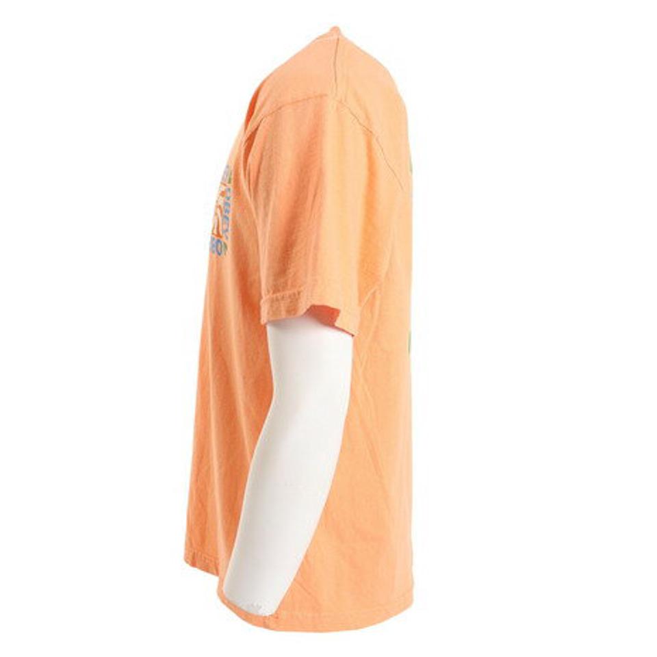 【20%OFFクーポン対象!8/10まで】オベイ(OBEY)(メンズ)半袖Tシャツ メンズ ELEMENTS 163003374PPSO23P