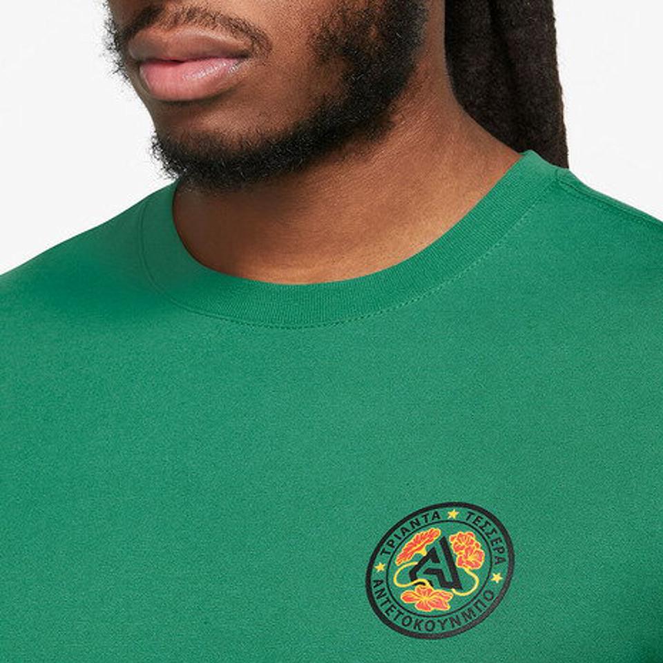 ナイキ（NIKE）（メンズ）バスケットボールウェア ヤニス Dri-FIT バスケットボール 半袖Tシャツ FJ2317-365