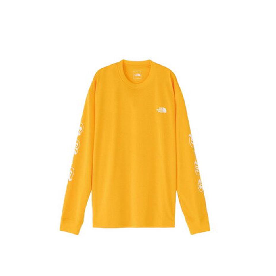 【10％OFFクーポン対象！2/22まで】ノースフェイス（THE NORTH FACE）（メンズ）長袖Tシャツ メンズ フリーランクルー NT62392 SG