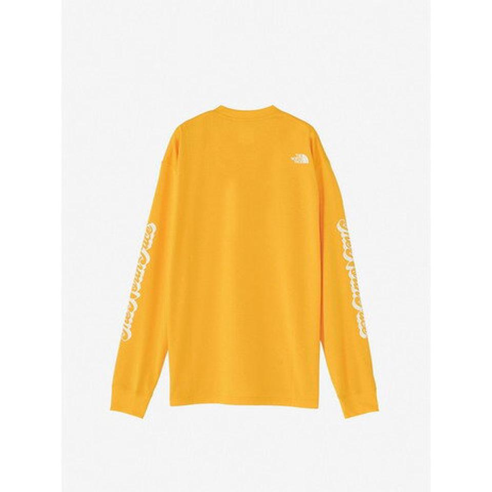【10％OFFクーポン対象！2/22まで】ノースフェイス（THE NORTH FACE）（メンズ）長袖Tシャツ メンズ フリーランクルー NT62392 SG