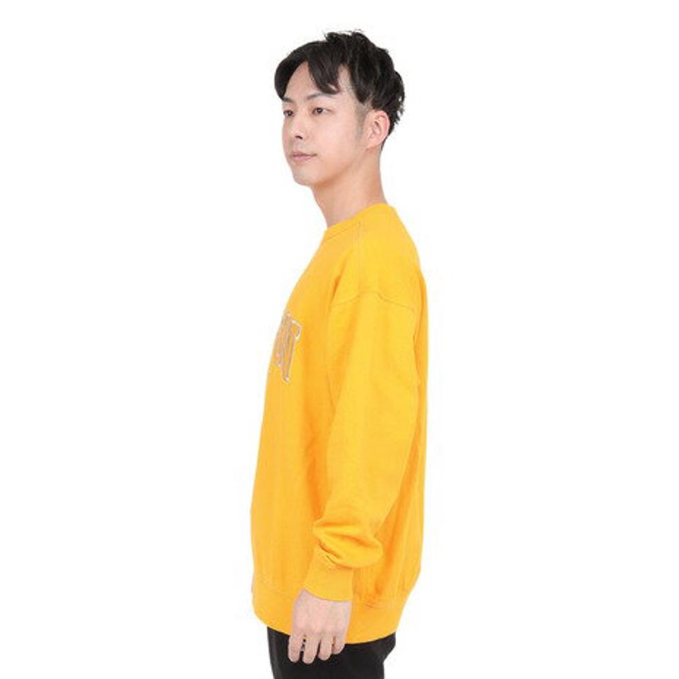 【10/25 24h限定 エントリー＆対象3店舗買い回りで最大P10倍！】ニューバランス（new balance）（メンズ）900 アーチレターフレンチテリークルーネック プルオーバー AMT35119TGD