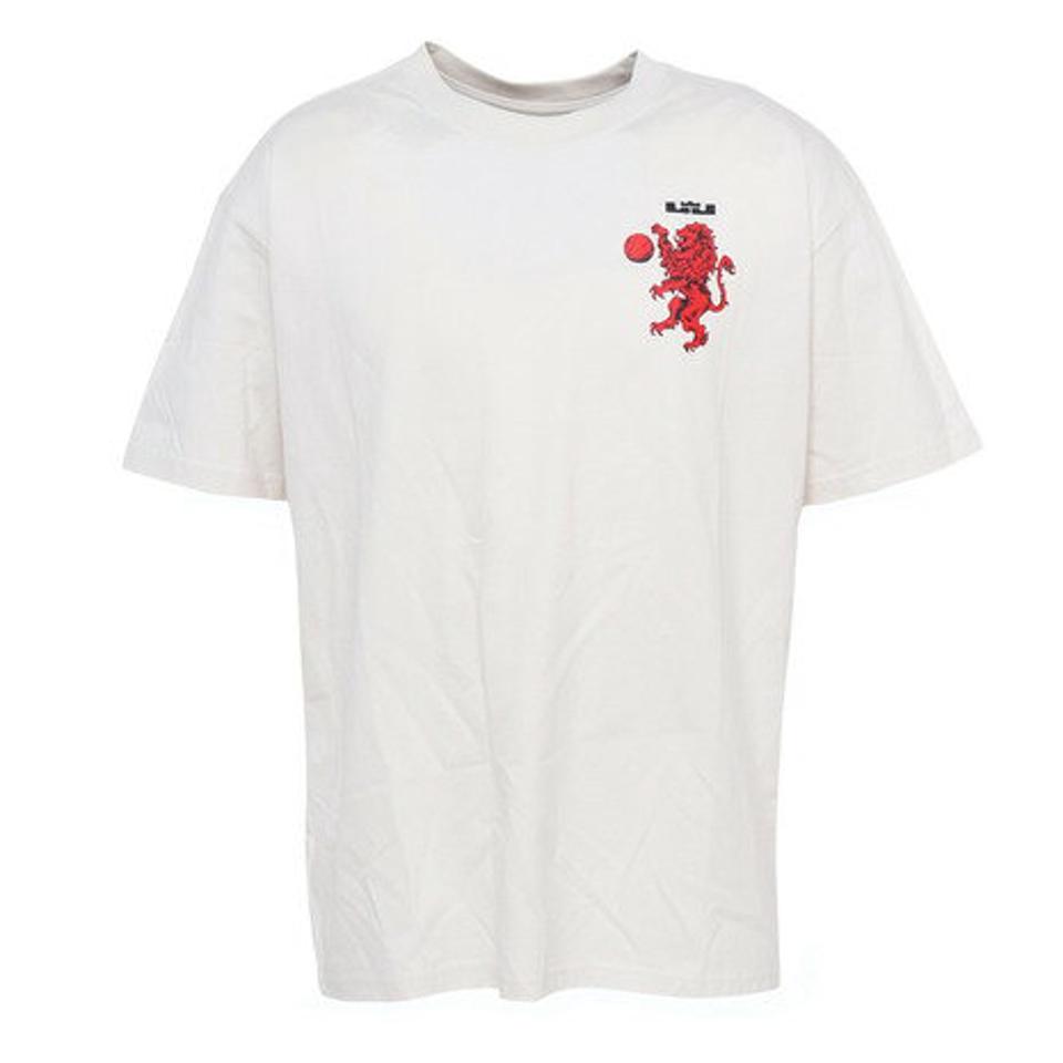 ナイキ（NIKE）（メンズ）バスケットボールウェア レブロン マックス90 Tシャツ FN0806-030