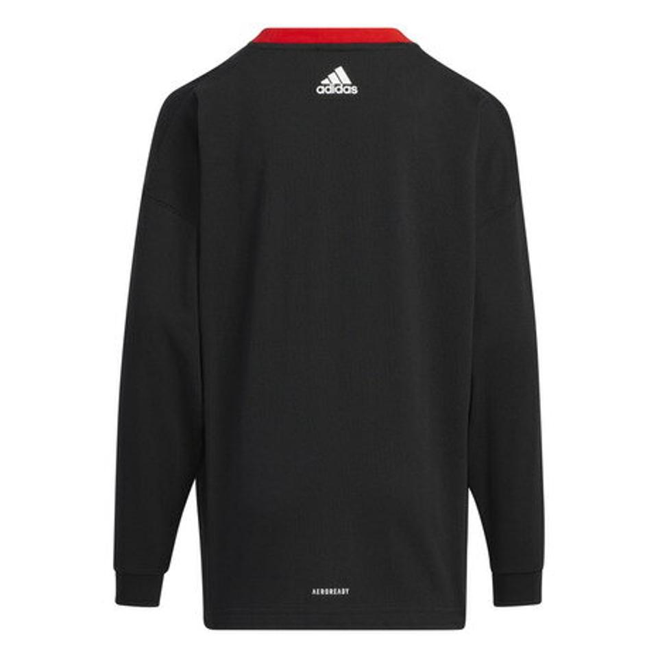 【1/10 24h限定 エントリー＆対象4店舗買い回りで最大P10倍！】アディダス（adidas）（キッズ）長袖Tシャツ キッズ ロゴ ZH187-HM7175