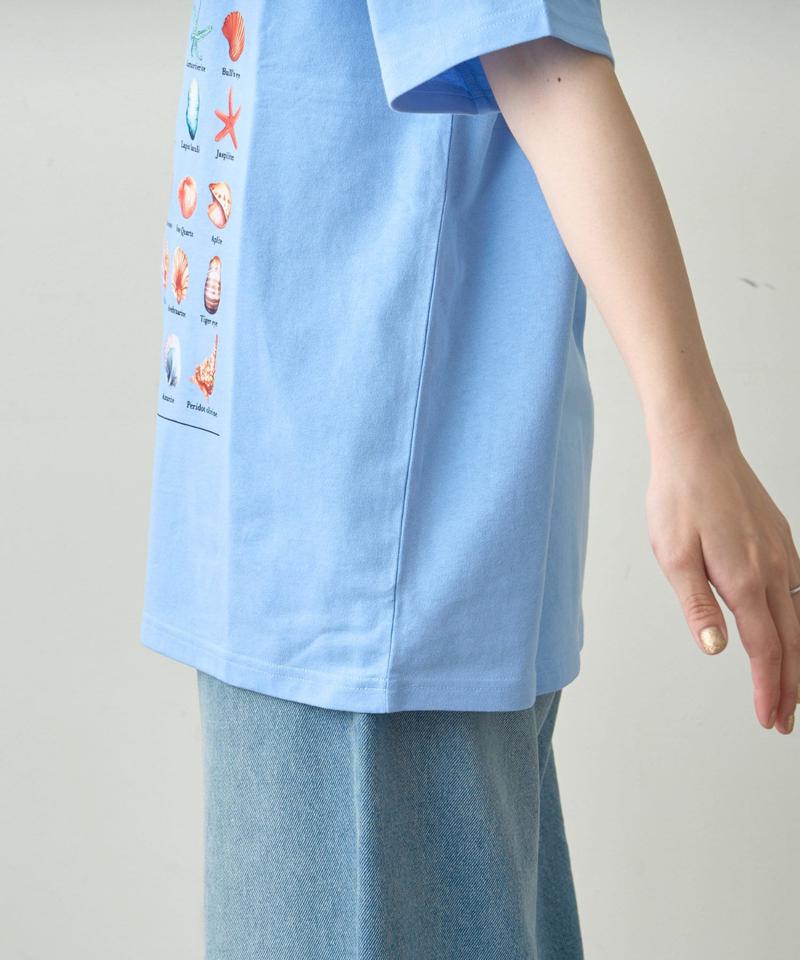 【WEB限定】【UNISEX】アソートコレクターTee