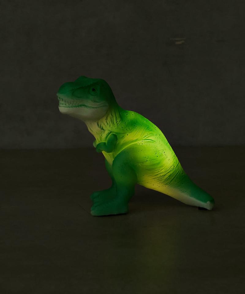 LED DINOLIGHT　恐竜のライト