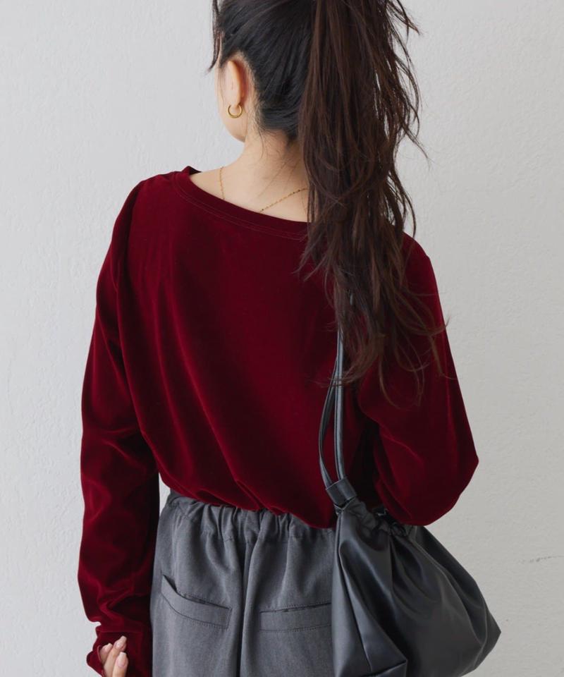 【WEB限定/今買って秋まで使える】シアーフロッキーベロア見えメロートップス