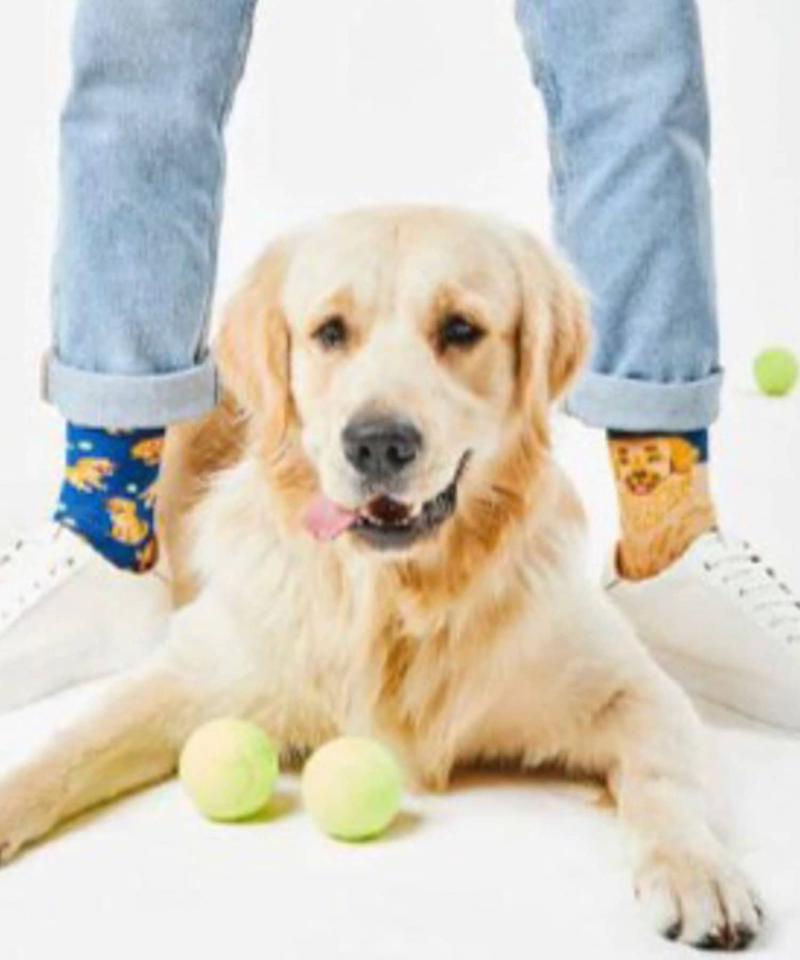 【MANY MORNINGS】-Animals- アニマルソックス