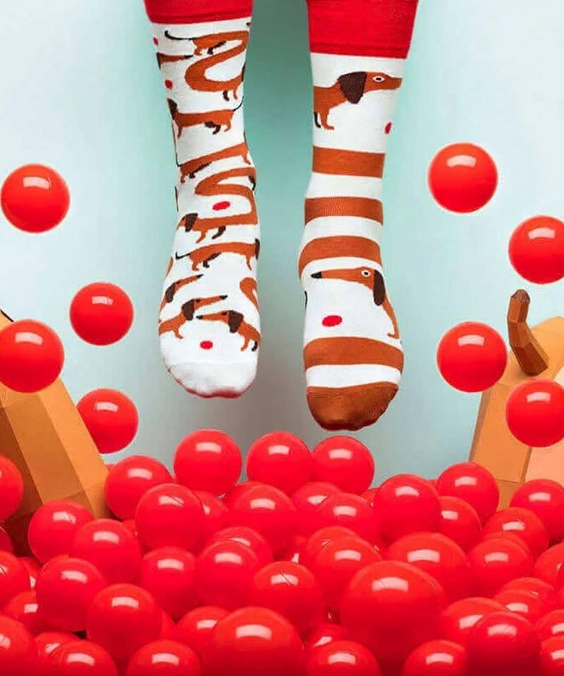 【MANY MORNINGS】-Animals- アニマルソックス