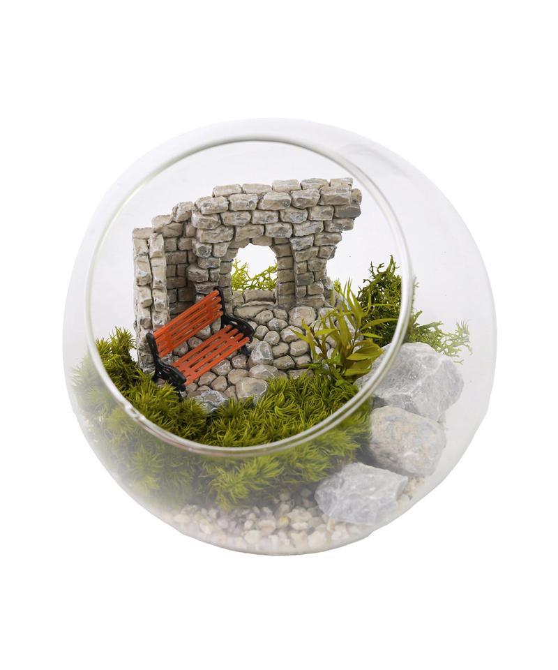 苔プリガラスドーム12cm