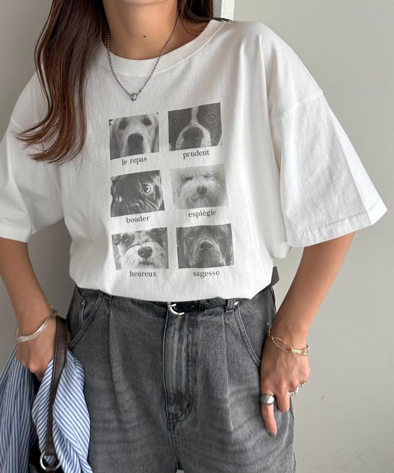 【ユニセックス】アソートアニマルボックスフォトTシャツ