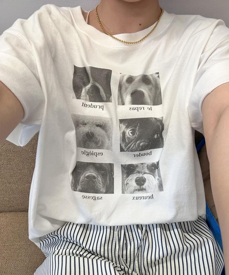 【ユニセックス】アソートアニマルボックスフォトTシャツ