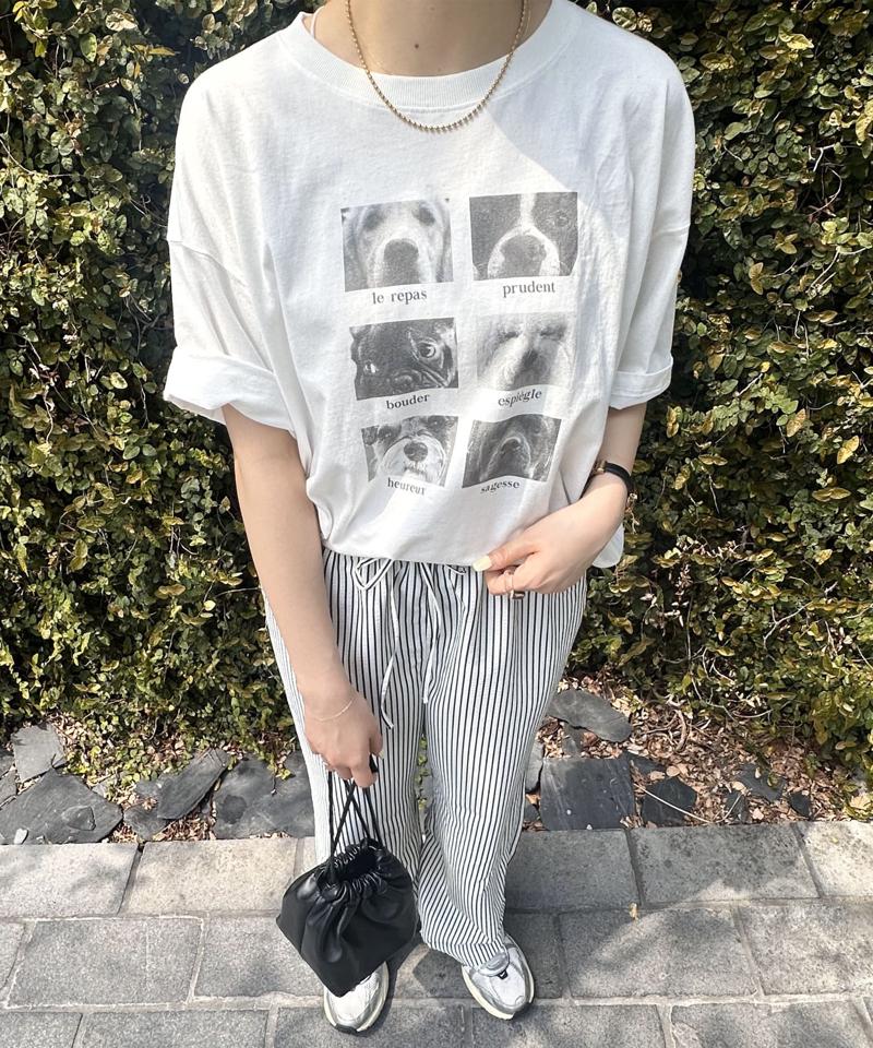 【ユニセックス】アソートアニマルボックスフォトTシャツ