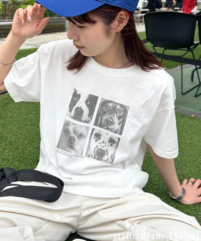 【ユニセックス】アソートアニマルボックスフォトTシャツ