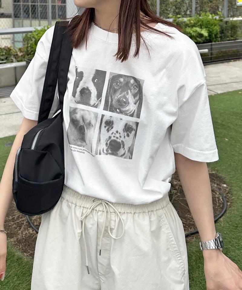 【ユニセックス】アソートアニマルボックスフォトTシャツ