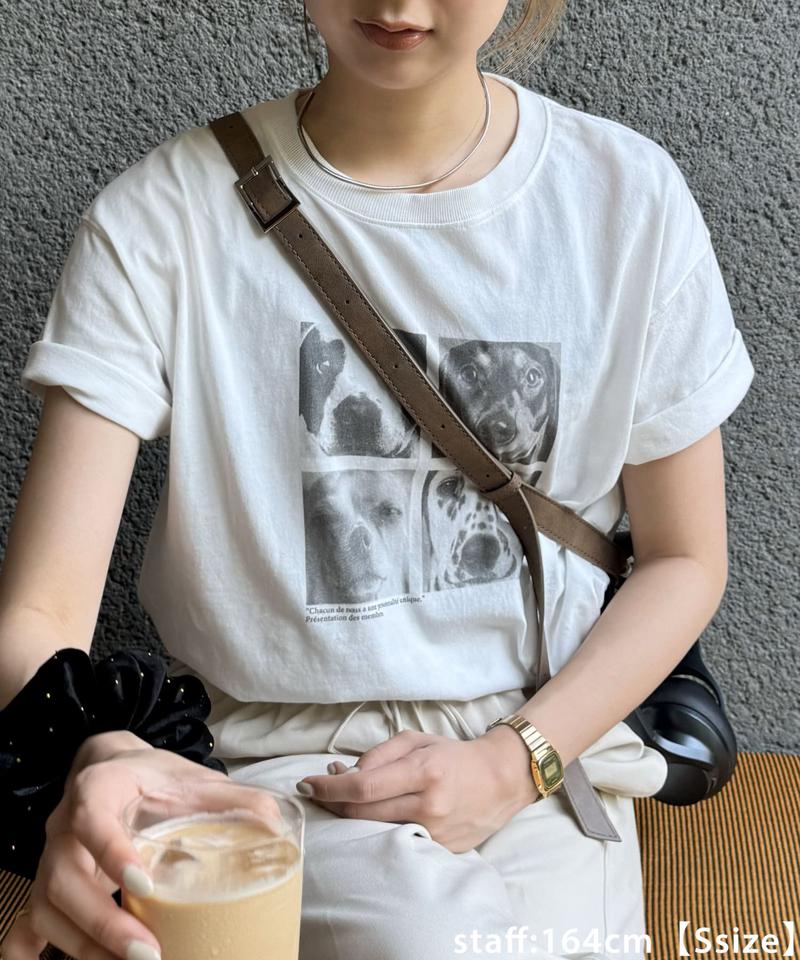 【ユニセックス】アソートアニマルボックスフォトTシャツ