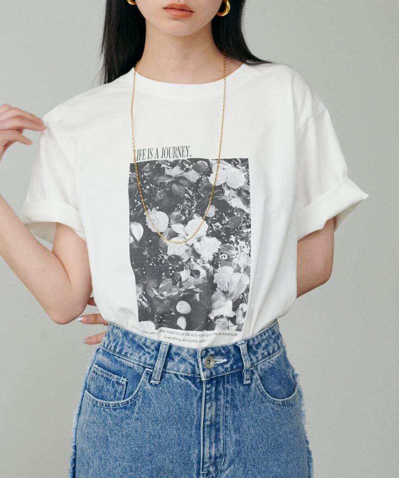 ロゴ×フォトT〈サスティナブル企画〉