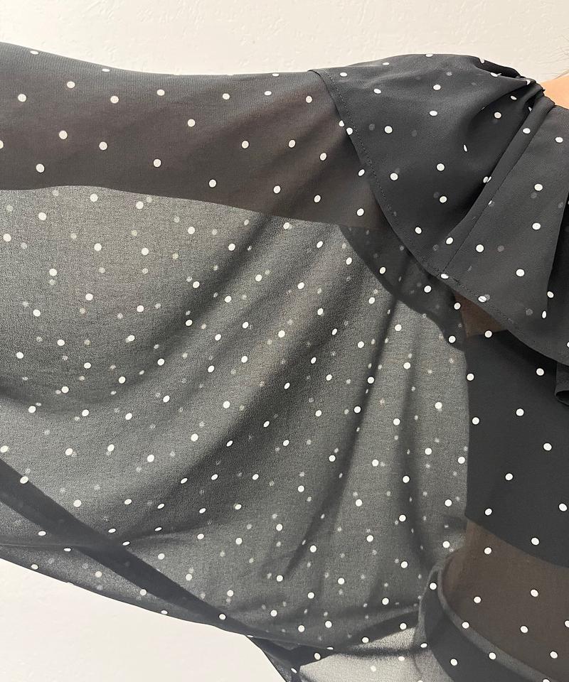 《着るだけで主役に》シアーフリルドットブラウス