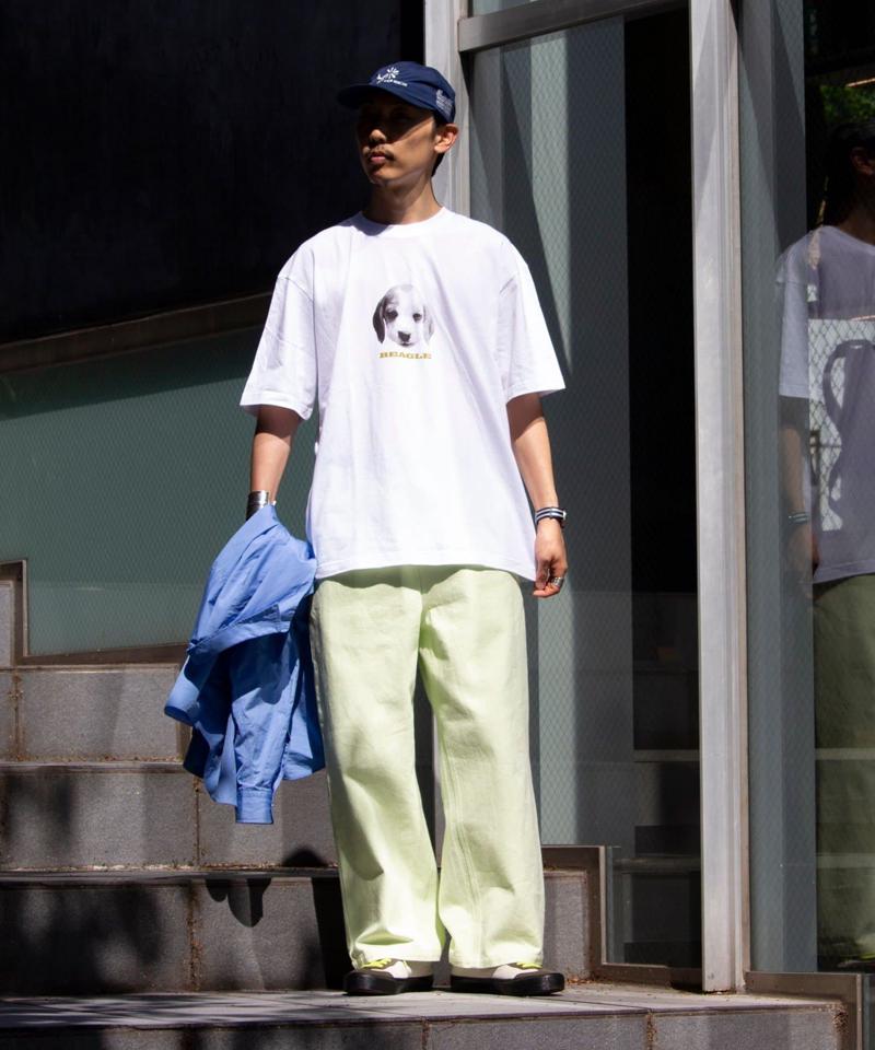 【新柄追加】【GLOSTER/グロスター】DOG&CAT 犬猫プリントTシャツ