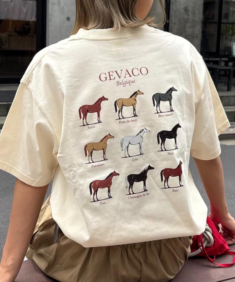 【GEVACO】グラフィック馬図鑑半袖TEE