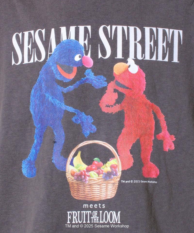 【SESAME STREET×FOTL】Photo T-Shirt A