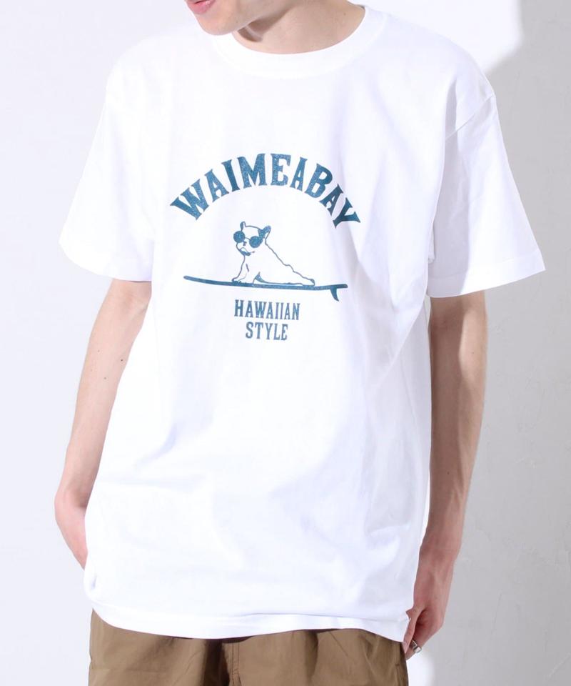 【GLOSTER】ハワイヌ ワイメアベイ クルーネック プリントTシャツ
