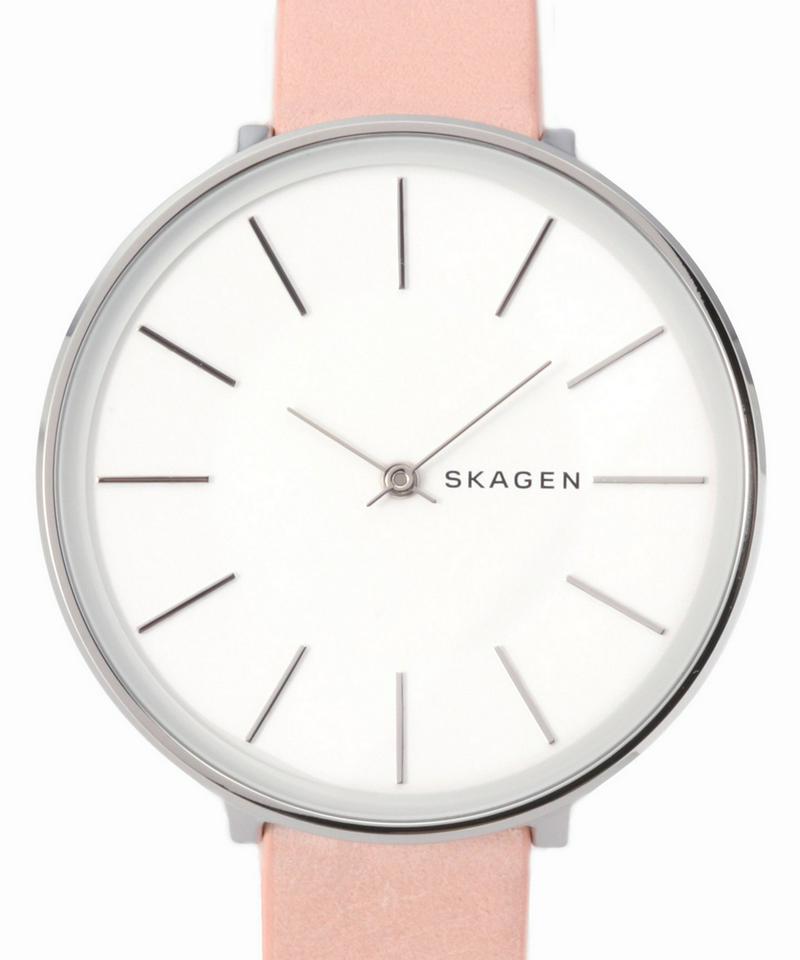SKAGEN SKW2690
