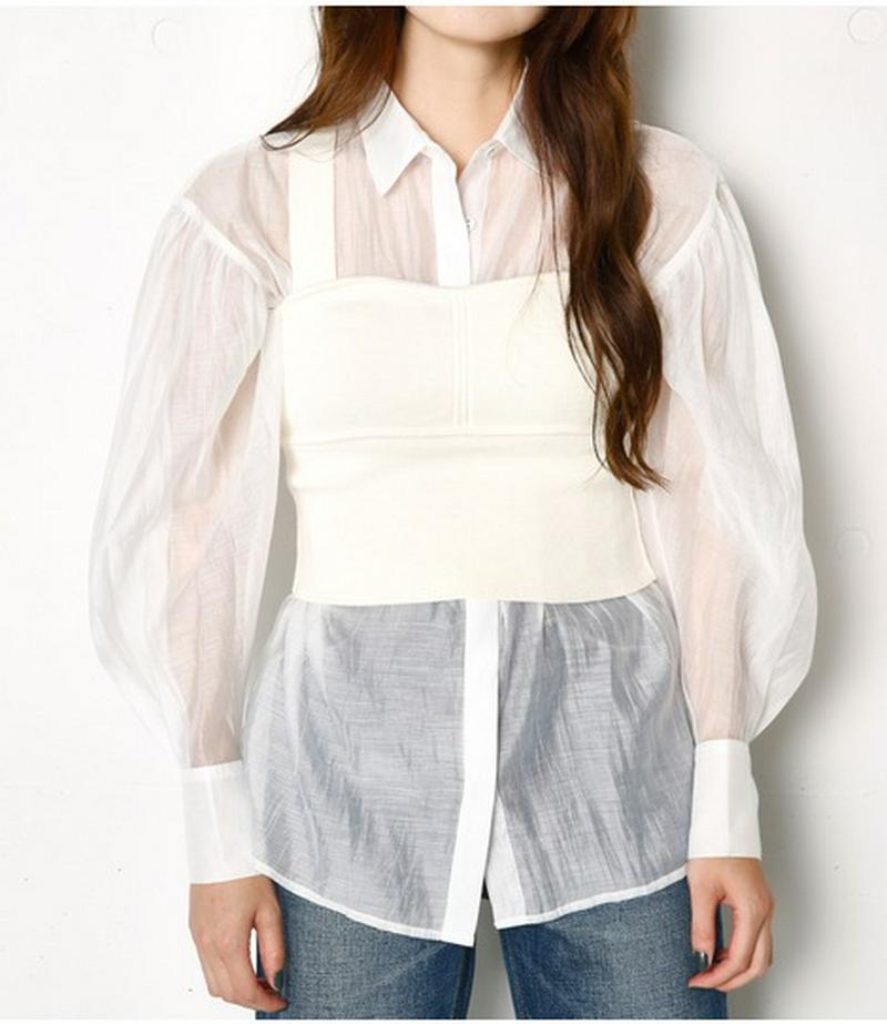 2WAY OFF SHOULDER SHEER SH