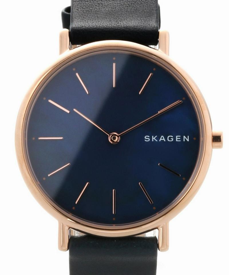 SKAGEN SKW 2731