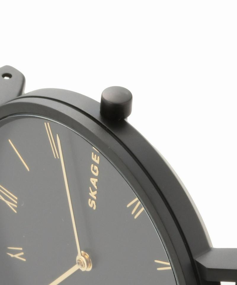 SKAGEN SKW 2745