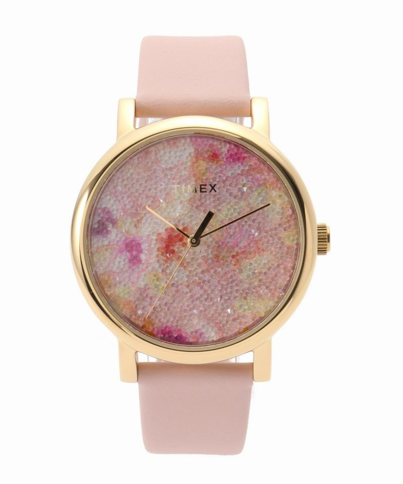 TIMEX TW2R66300