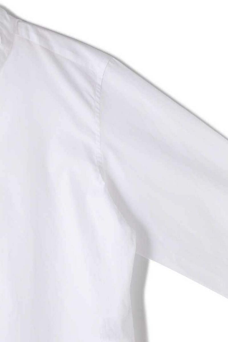 CHINTZ COTTON