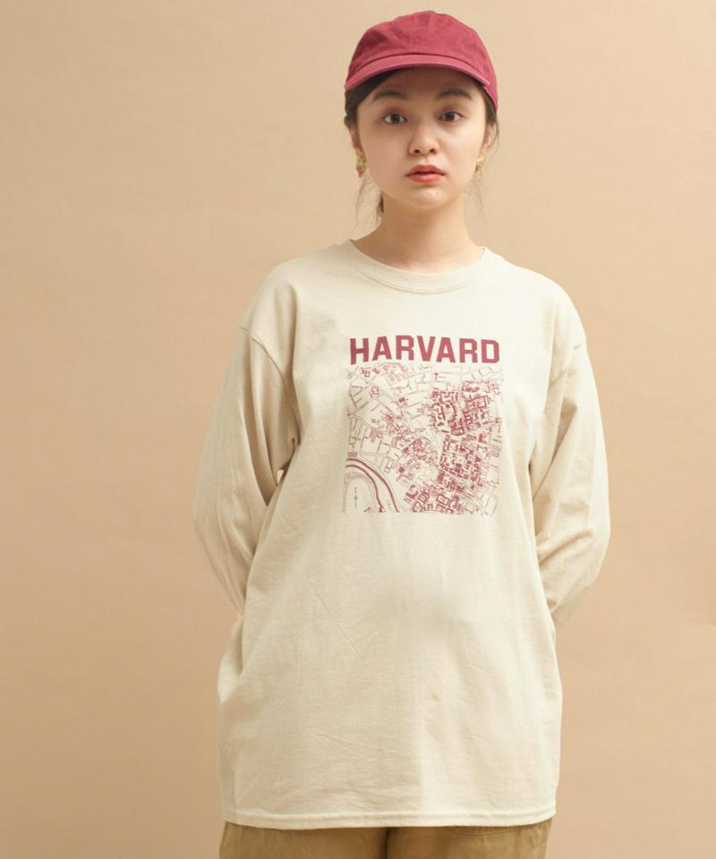 ○mat HARVARDﾞプリントロングスリーブTシャツ