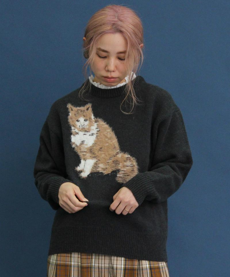 〇eiπe　ラムナイロン　ジャカード アメショプルオーバー