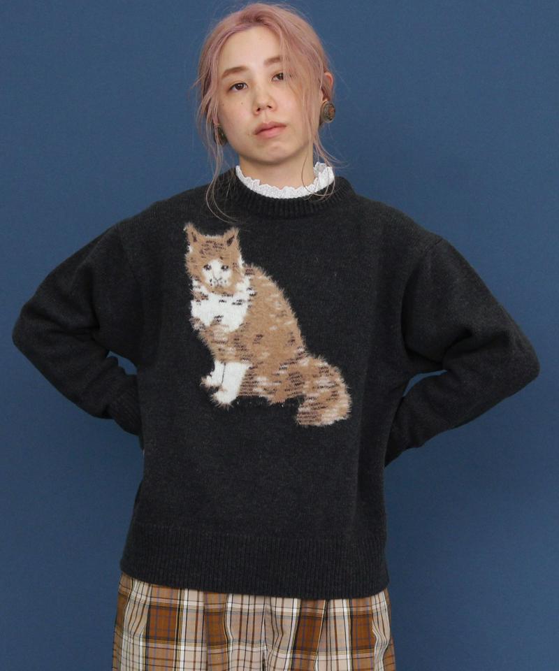 〇eiπe　ラムナイロン　ジャカード アメショプルオーバー