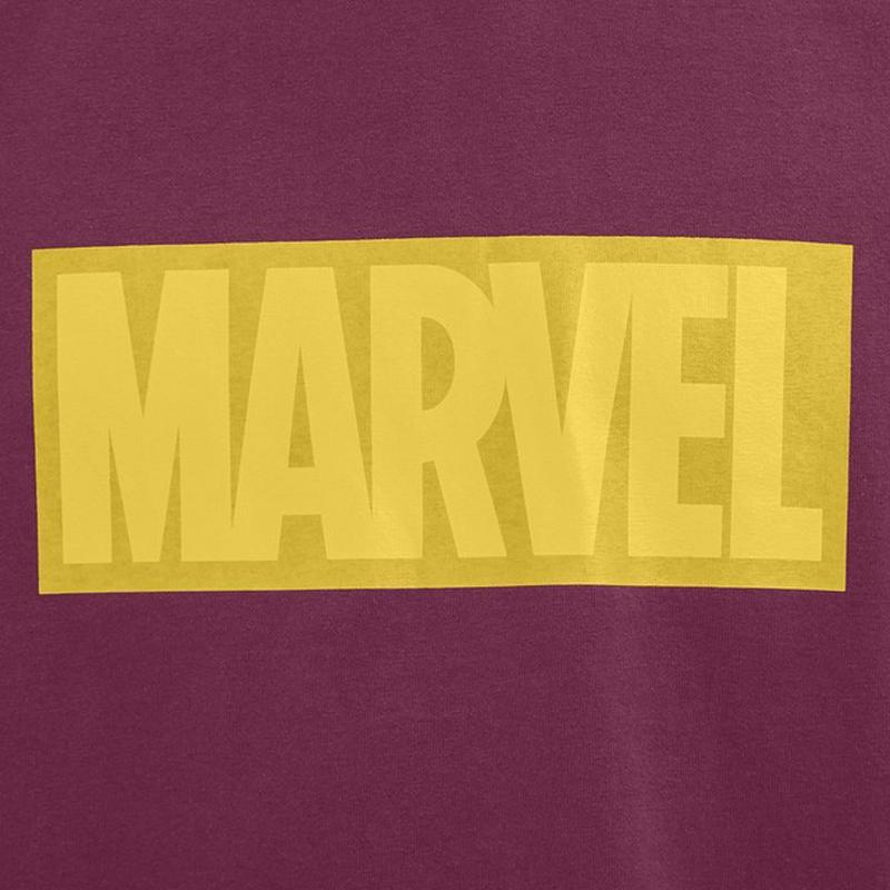 ビッグT(半袖)MARVEL2