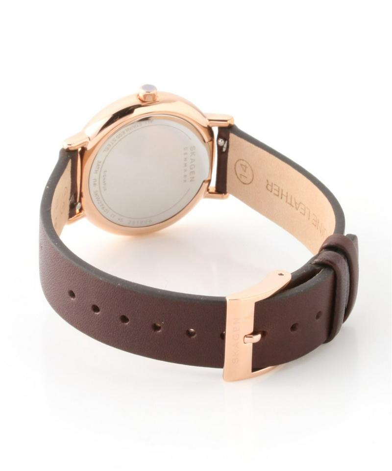 SKAGEN SKW2760I