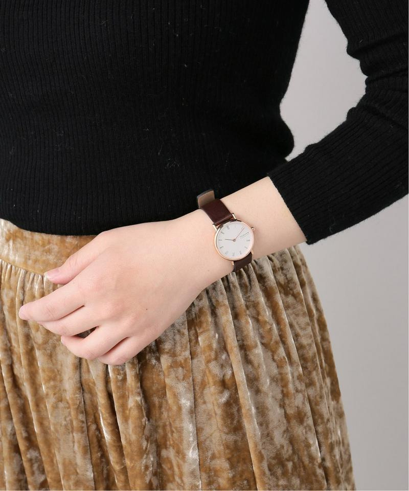 SKAGEN SKW2760I
