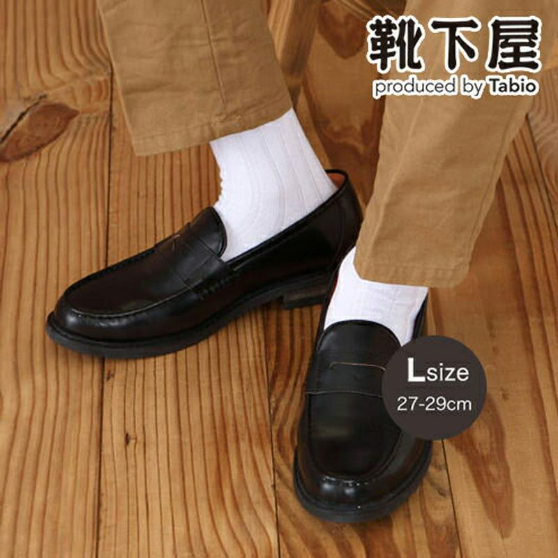 【全品送料無料★〜12/26 23:59迄】【あす楽】【Tabio MEN】 メンズ 太リブレギュラー27〜29cm / 靴下屋 靴下 タビオ くつ下 メンズ リブソックス 大きいサイズ Lサイズ 日本製 2012ka