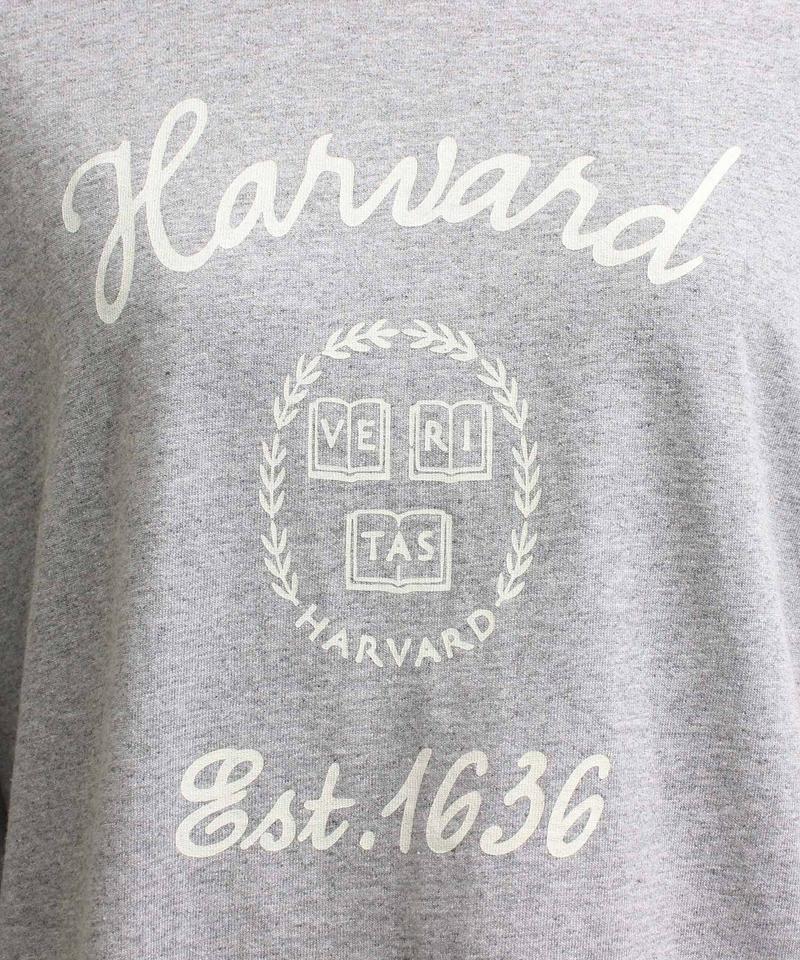 ●mat　ＨＡＲＶＡＲＤ筆記体 ロンT（mat quotidien）