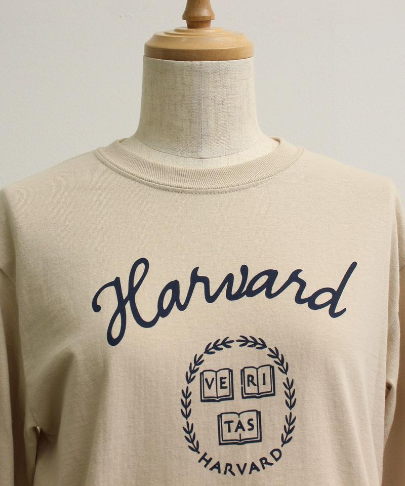 ●mat　ＨＡＲＶＡＲＤ筆記体 ロンT（mat quotidien）