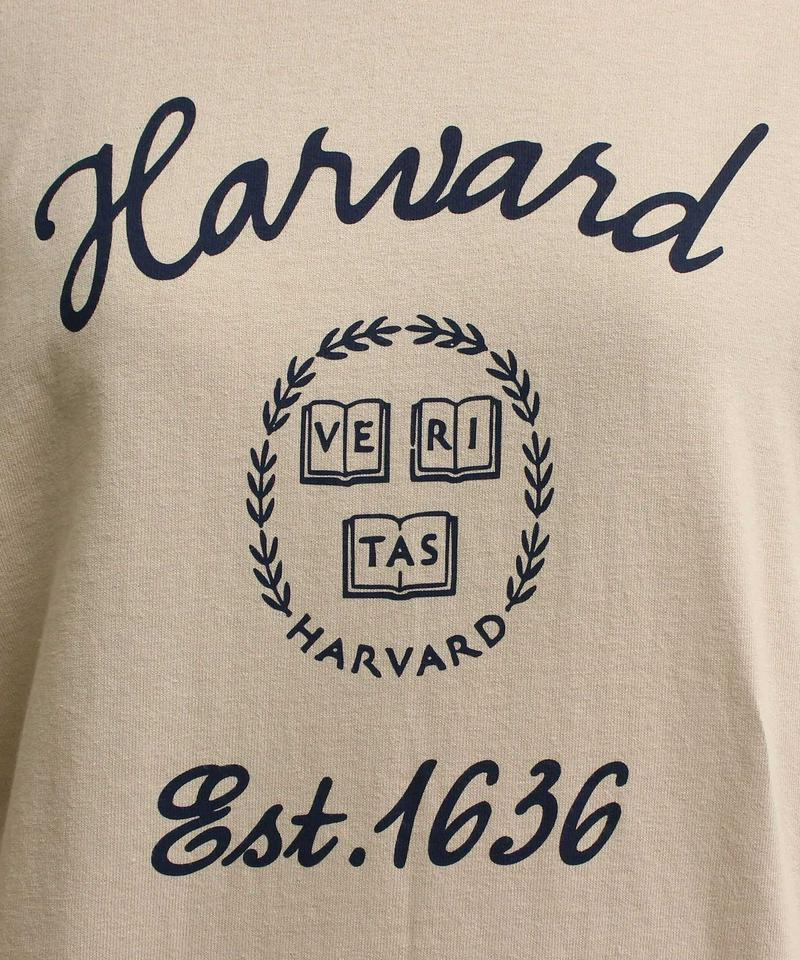 ●mat　ＨＡＲＶＡＲＤ筆記体 ロンT（mat quotidien）