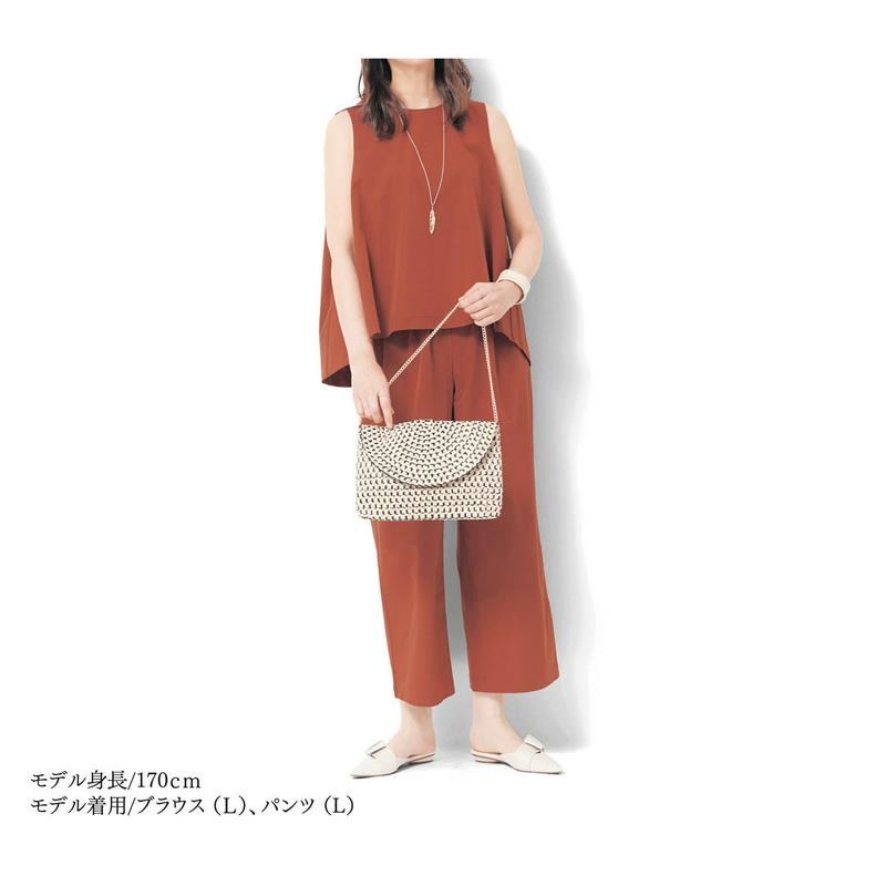 【ＳＴＹＬＥ　ＳＮＡＰセレクト】通勤＆旅行にも使えるブラウス【撥水・防シワ】