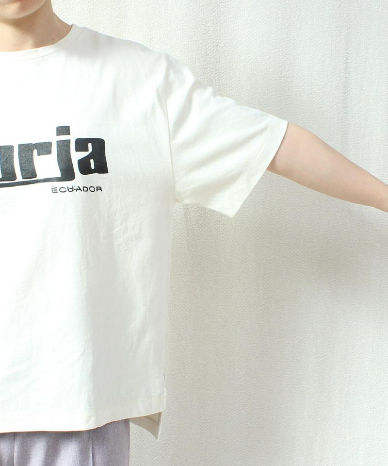 ○CLASSIC天竺ロゴプリントBIG-Tシャツ（caph troupe）
