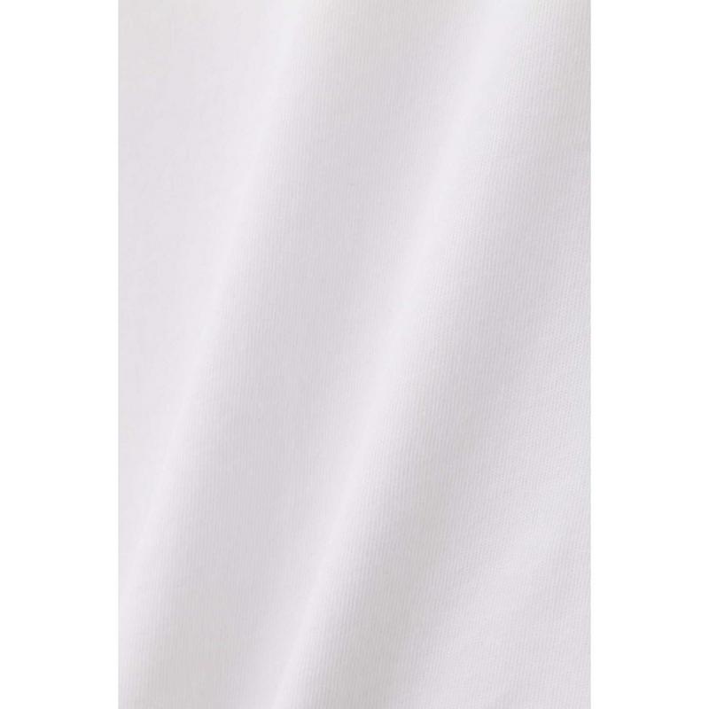 カジュアルＴシャツ◆（NATURAL BEAUTY BASIC／ナチュラルビューティー ベーシック）