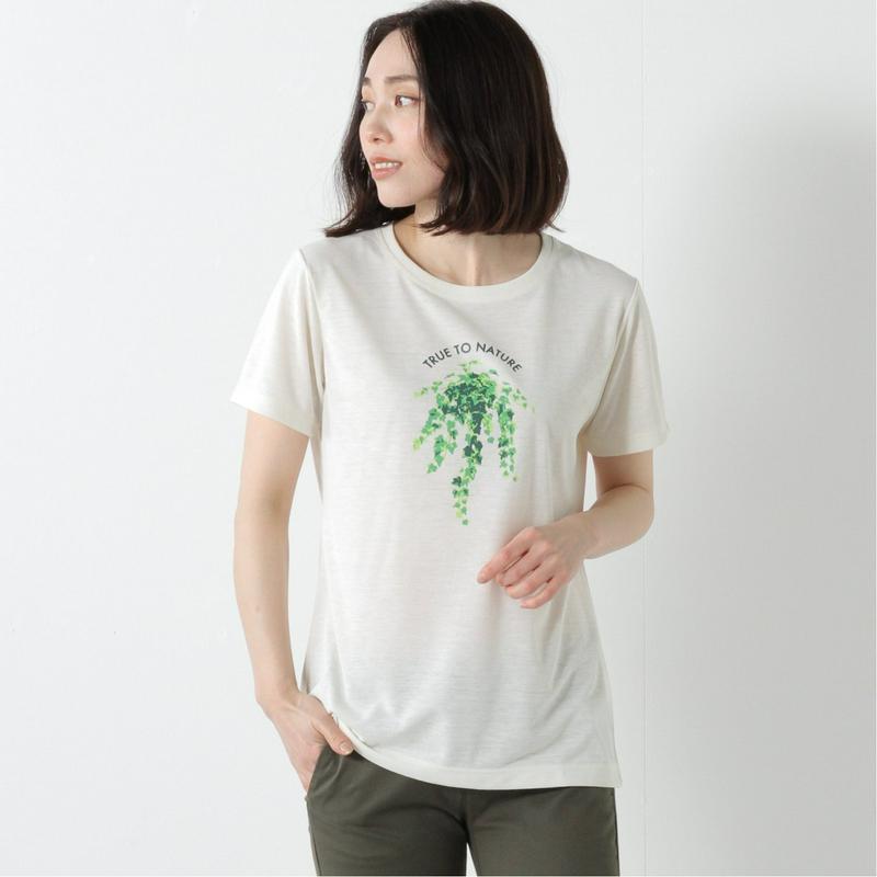 Ｃシールドアイビー半袖Ｔシャツ（フォックスファイヤー/Foxfire）