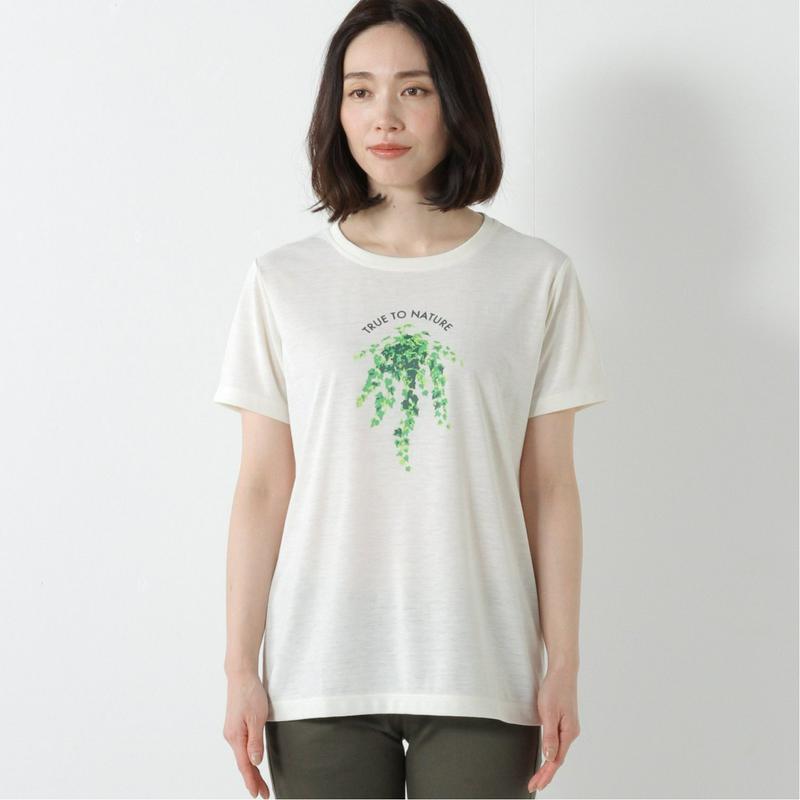 Ｃシールドアイビー半袖Ｔシャツ（フォックスファイヤー/Foxfire）